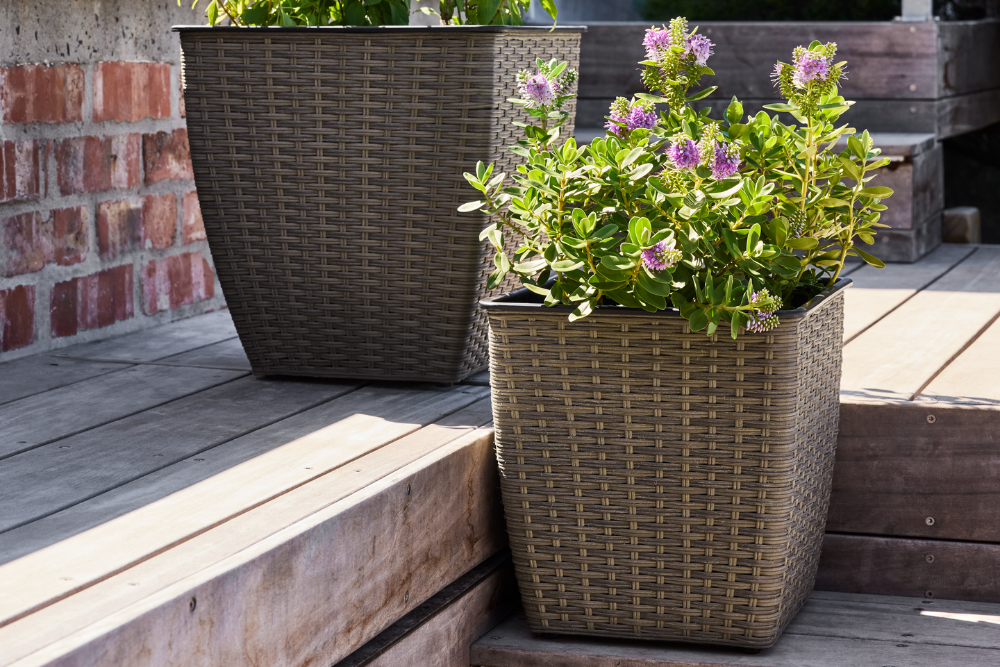 Садові горщики - Знижки до 50%