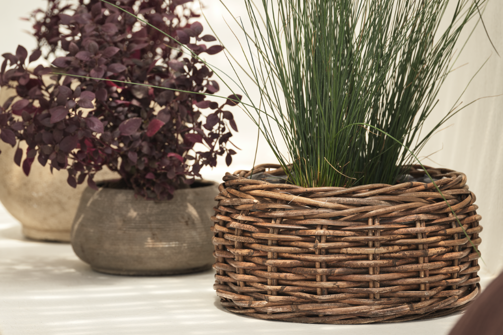 Знижки до 50% на садові горщики