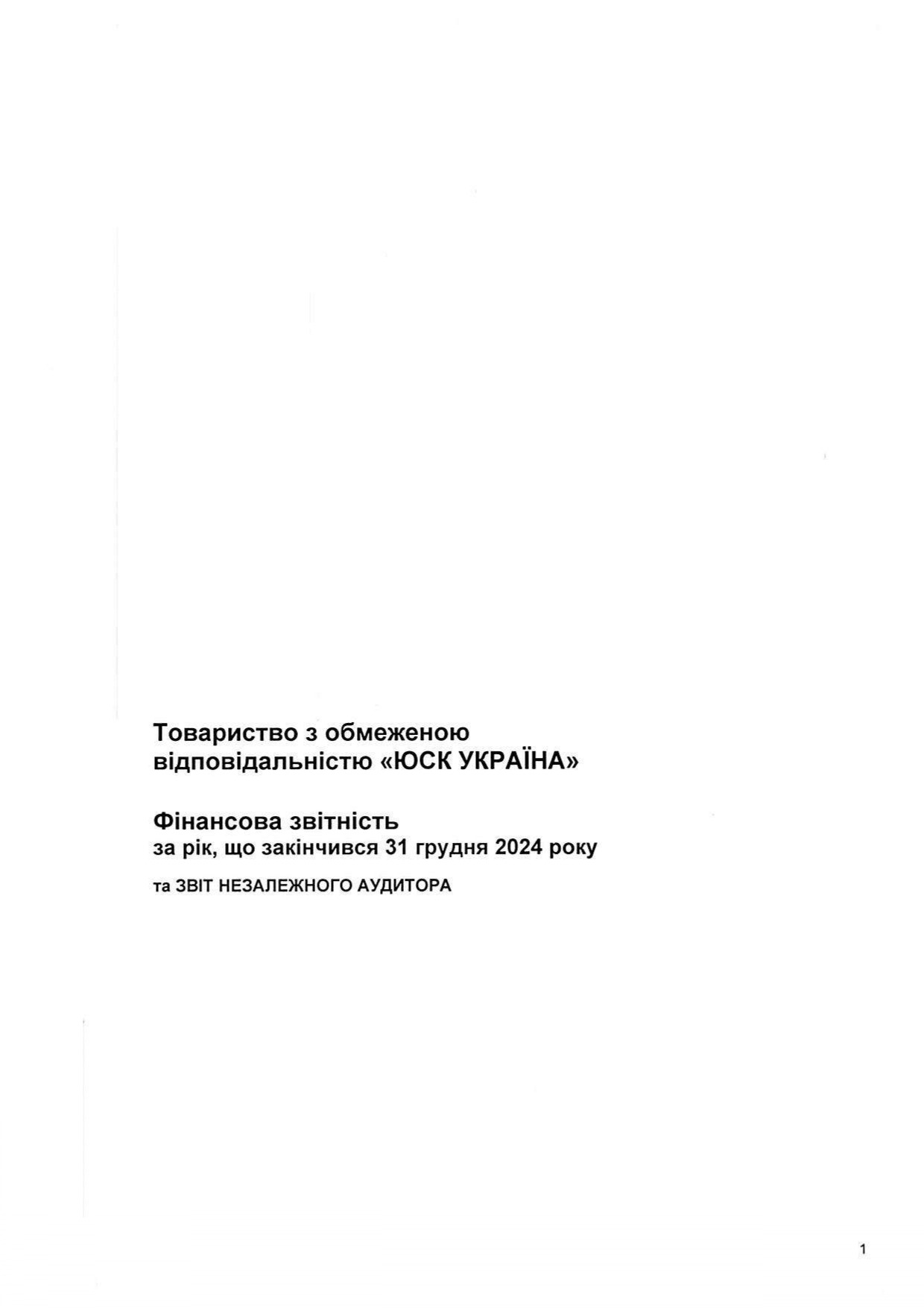 Аудиторський висновок 2024
