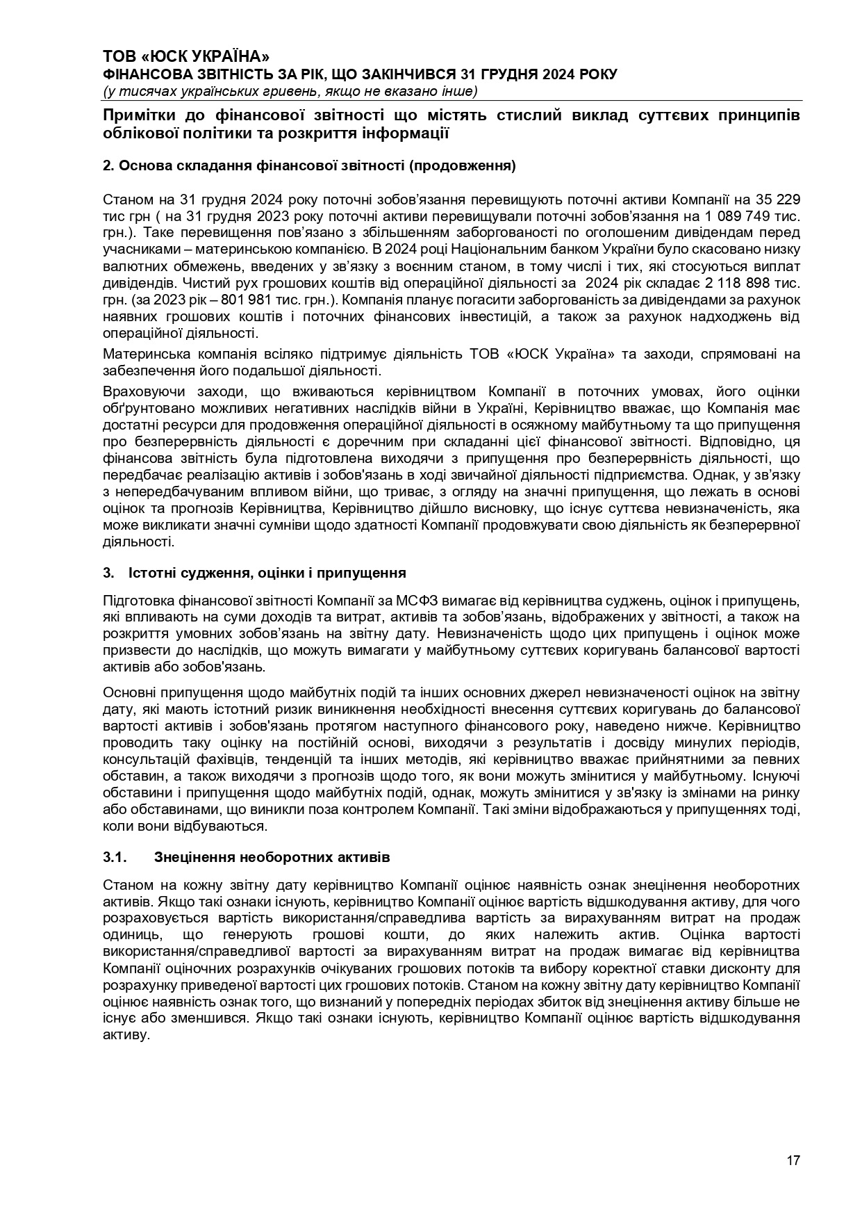Аудиторський висновок 2024