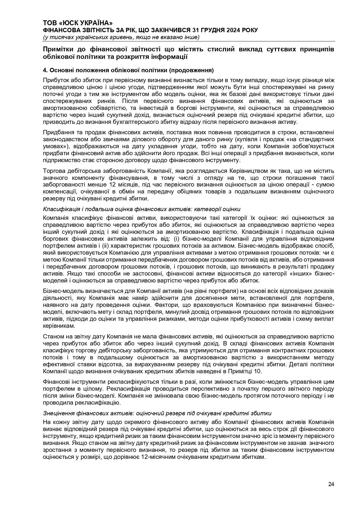 Аудиторський висновок 2024
