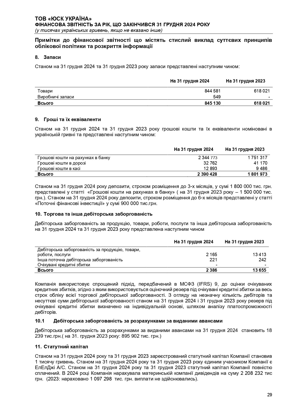 Аудиторський висновок 2024