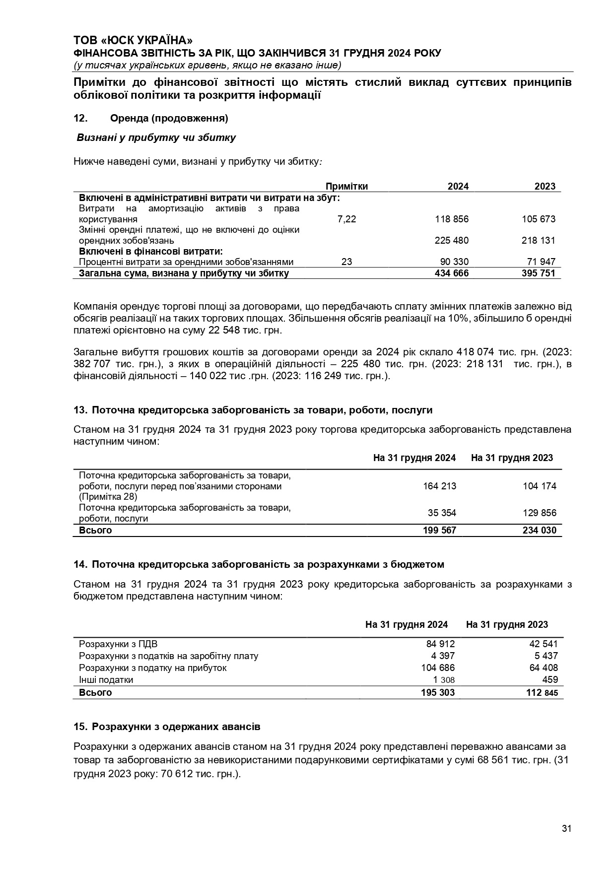 Аудиторський висновок 2024