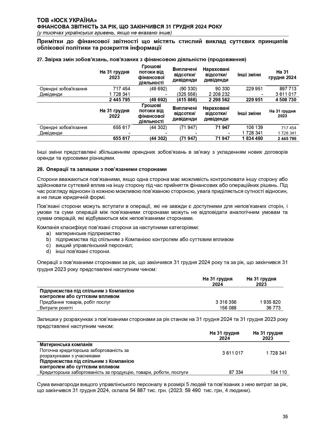 Аудиторський висновок 2024