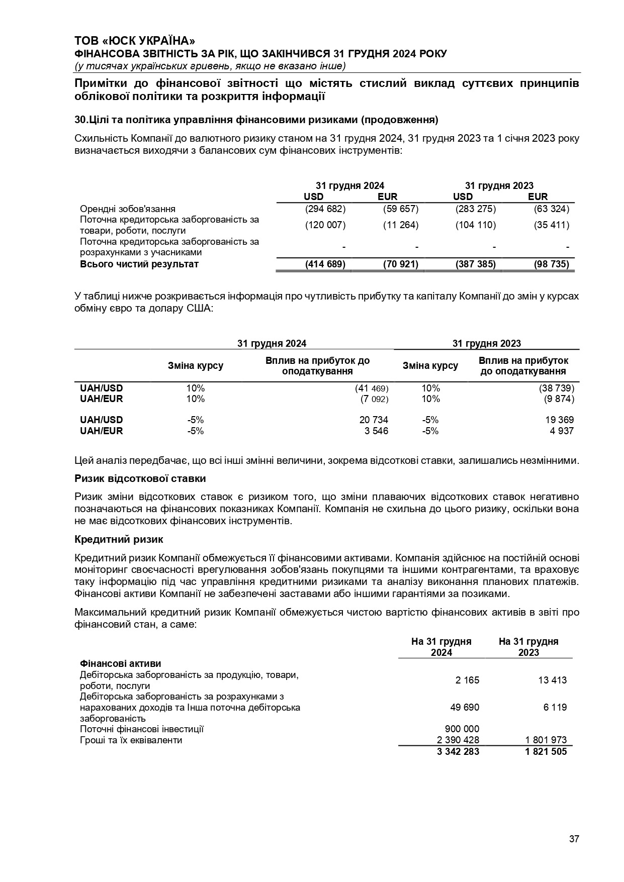 Аудиторський висновок 2024