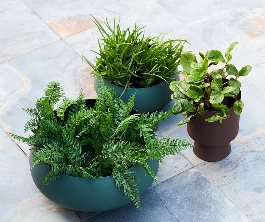 Large garden pots and flower pot on the ground  