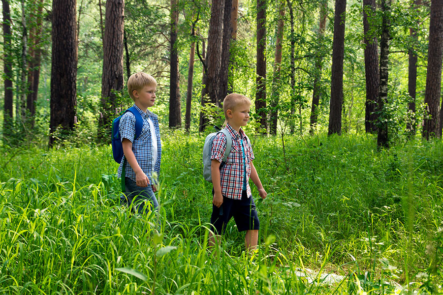 Два хлопчики йдуть по лісу з рюкзаками